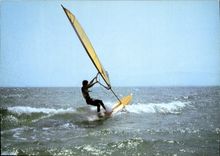 CPM Aime la vie aile les voiles 