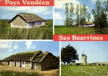 CPA La Vendee Pittoresque les Bourrines dans le Marais 