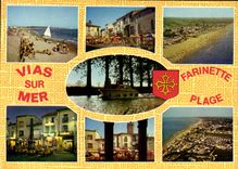 CPM Paysage du Languedoc Vias sur Mer 