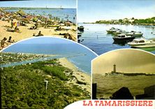 CPM En Parcourant la Cote Mediterraneenne la Tamarissiere Herault 