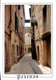 CPM Pezenas Herault Ville d'Art la Rue Triperie Vieille 