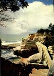 CPM Cote de Beaute Saint Palais Sur Mer Charente Maritime le Pont des Contrebandiers 