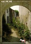 CPM Ruelfe de roses tremieres 