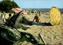CPM La Tamarissiere Herault la Plage 