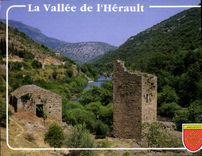CPM La vallee de l'Herault Vieux Moulin 