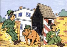 CPM Soldat Militaria Permantier Chien Molosse
