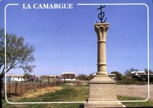 CPM Camargue la Croix des Gardians Aux Stes Maries de la Mer 