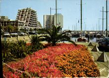 CPM La Grande Motte Herault les Jardins le Port et les Pyramides 