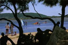 CPM Sur les rives du Bassin de thau Balaruc les Bains contre jour sur la Plage dans le fond Sete 