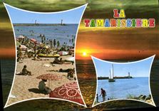 CPM En Parcourant la Cote Mediterraneenne la Tamarissiere Herault 