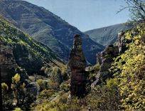 CPA Les Gorges du Tarn Paysage pittoresque 