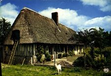 CPA Chaumiere Normande 