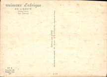 CPM Aminaux d'Afrique en liberte Les Zebres 