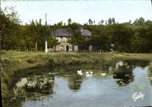 CPM La Normandie Barbotage sur la mare 