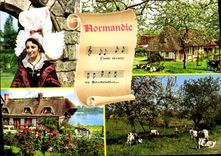 CPM Ma Normandie Vaches