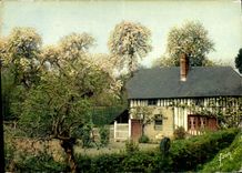 CPM Couleurs et lumiere de France en Vallee d'Auge la luxuriante Normandie Barage Normand 