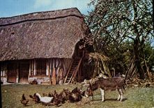 CPM La Normande Douce fraternite 