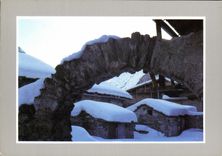 CPM Les joies de la neige 