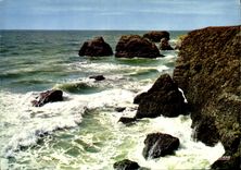 CPM Bretagne Trance Cote Sauvage 