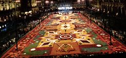 CPM Bruxelles Grand Place Tapis de fleurs la nuit 