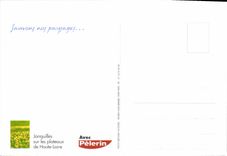 CPM Sauvons nos paysages Jonquilles sur les plateaux de Haute Loire 