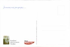 CPM Sauvons nos paysages Roselieres dans le marais Vendeen 