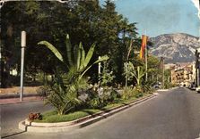 CPM Aix les Bains la belle decoration meridionale de l'avenue des Thermes et de la Gare au fond le M