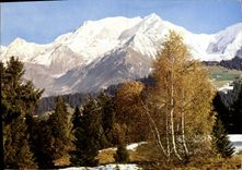 CPM Paysage d'Automne 