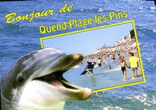 CPM La Cote d'Opale Quend plage les pins la plage et le front de mer Dauphin