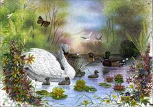 CPM Cygne Canard Papillon