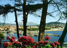 CPM Charmes et Soleil de la Cote d'Azur Sanary Perspective sur le port 