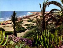 CPM Gran Canaria Playa del Ingles 