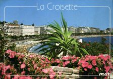 CPM La Cote d'Azur Cannes la Croisette 