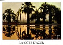 CPM Couleurs et lumiere de France La Cote d'Azur Cannes Alpes Maritimes Coucher de soleil sur les ja