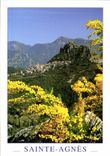 CPM Couleurs et lumiere de France Sainte Agnes Alpes Maritimes Vue generale 