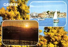 CPM Cote d'Azur Cannes 