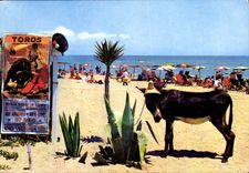 CPM Espana tipica Scene a la Plage 
