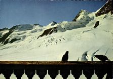 CPM Jungfraujoch mit Rottalhorn 