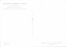 CPM Couleurs et Lumiere de France Val de Loire Amboise Indre et Loire le Chateau sur les Bords de la