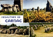 CPM La Bretagne en Couleurs Carnac Morbihan Celebre par ses alignements du Menec et de Kermario 