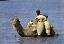 CPM Djerba Ce uest par la mer a boire 