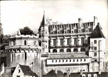 CPA Amboise Le Chateau 