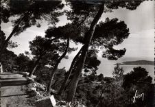 CPM Cote d'Azur Route de la grande corniche a droite le cap Ferrat 