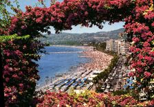 CPM Juan les Pins L'Avenue Guillaumont et la plage 