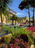 CPM Cannes Alpes Maritimes La Croisette le Palais du Festival et le Carlton 