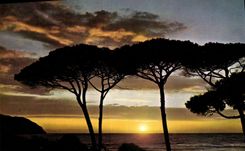 CPM Crepuscule sur la Mediterraneenne 