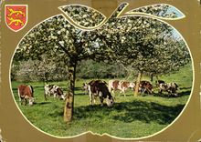 CPM Charmes et Couleurs de la Normandie 