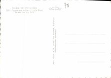 CPM Palais de Versailles Facade sur le Parc L'Aile Nord 