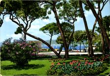 CPM La Cote d'Azur Juan les Pins La Pinede 