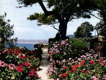 CPM Reflets de la Cote d'Azur Jardin fleuris sur les bords de la Mediterranee 